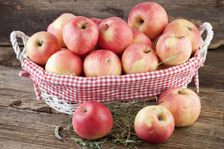 Organic Apples の写真素材