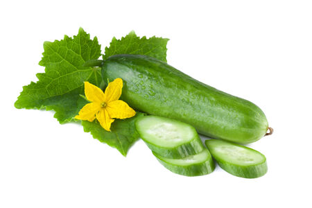 Cucumber isolatedの写真素材