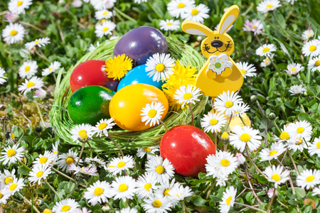 Easter Nest on a Meadow with Flowersの写真素材