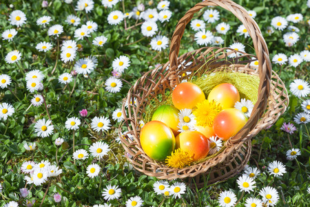 Easter Egg in Basket on a Meadowの写真素材