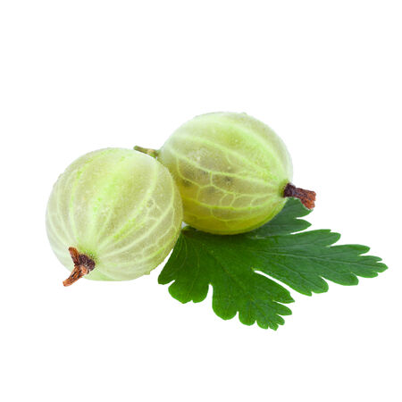 Gooseberryの写真素材