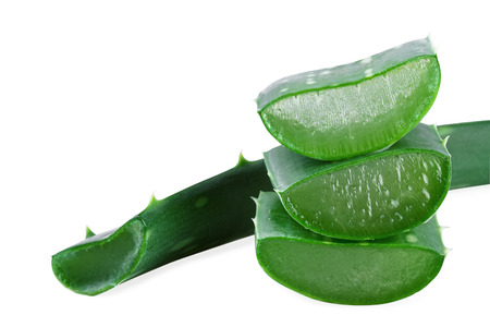 Fresh Aloe Vera leaf. Isolated on whiteの写真素材