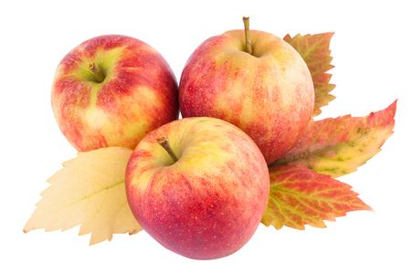 Apples with Autumn leavesの写真素材