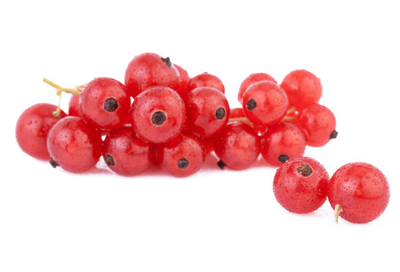Red Currant Berries isolated on whiteの写真素材