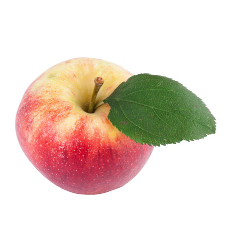 Organic Apple isolated on whiteの写真素材