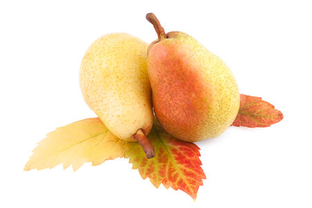 Pears with Autumn Leaf isolated の写真素材