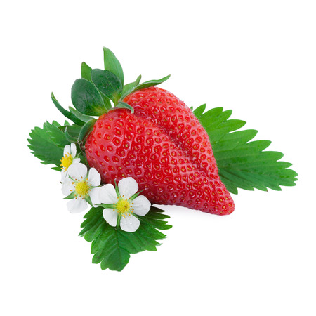 strawberry with leaf isolated on whiteの写真素材