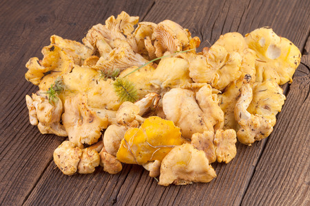 Chanterelles Mushrooms on Wooden backgroundの写真素材