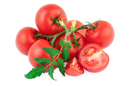 Tomato organic isolated white backgroundの写真素材
