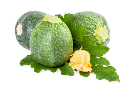 Zucchini Vegetable isolated white backgroundの写真素材