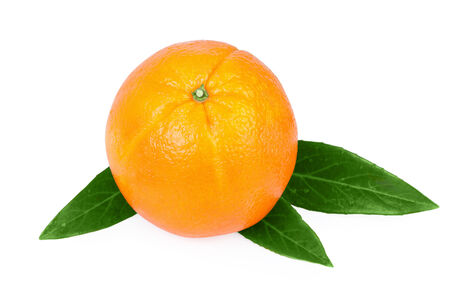 Orange Fruitの写真素材
