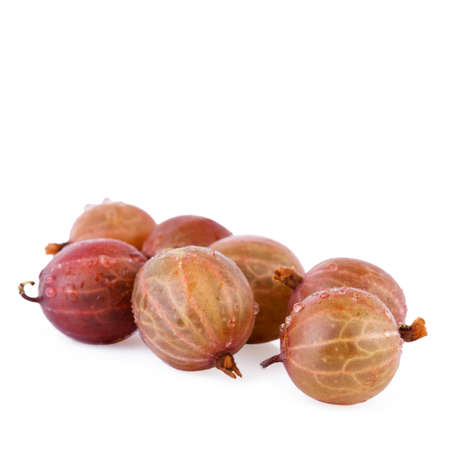 gooseberry isolatedの写真素材