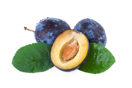 plums fruitの写真素材