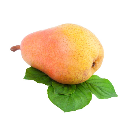 pear fruit over whiteの写真素材