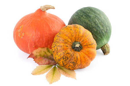 pumpkins squashの写真素材