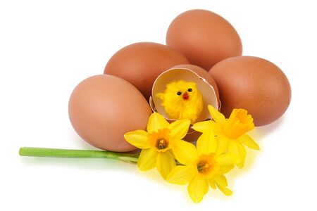 Easter egg decoration with funny chickの写真素材