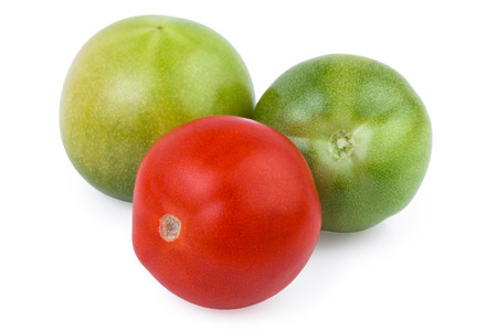 tomatoes red green isolated over whiteの写真素材