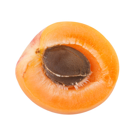 Half of Apricot with fruit coreの写真素材