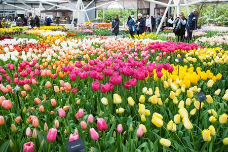 KEUKENHOF GARDEN, NETHERLANDS - APRIL 08: Inside the Willem-Alexander Pavillion. Keukenhof is the world's largest flower garden. Keukenhof Garden, Lisse, Netherlands - April 08, 2014.のeditorial素材