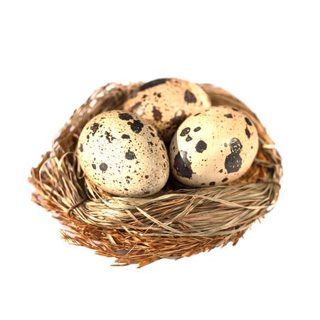 bird nest with eggs isolated on whiteの写真素材