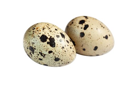 quail eggs isolated on white cutoutの写真素材