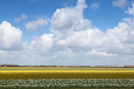 Dutch Landscapeの写真素材