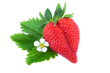 bio strawberry over whiteの写真素材