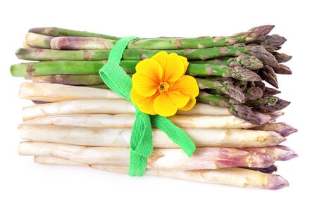 two bundles of asparagus vegetableの写真素材