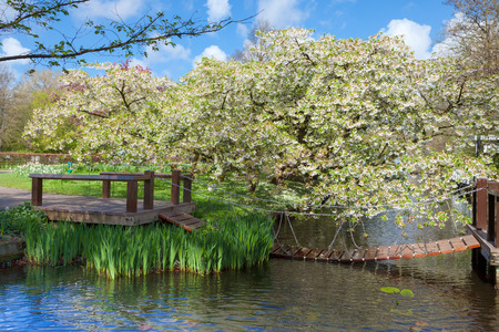 KEUKENHOF GARDEN, NETHERLANDS - APRIL 08: Keukenhof is the world's largest flower garden with 7 million flower bulbs on an area of 32 hectares. Keukenhof Garden, Lisse, Netherlands - April 08, 2014.のeditorial素材