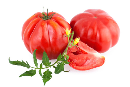 organic tomatoes ripe tomatoの写真素材
