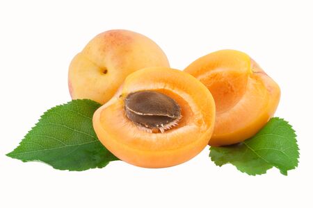 apricot fruit cut half fruit with coreの写真素材