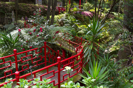 Monte Palace Tropical Garden. Funchal, Madeira Island, Portugalのeditorial素材