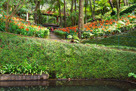 Monte Palace Tropical Garden. Funchal, Madeira Island, Portugalのeditorial素材