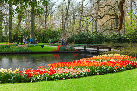 Keukenhof, Lisse, Netherlands - April 08, 2014: Keukenhof is the world's largest flower garden with 7 million flower bulbs on an area of 32 hectares.のeditorial素材