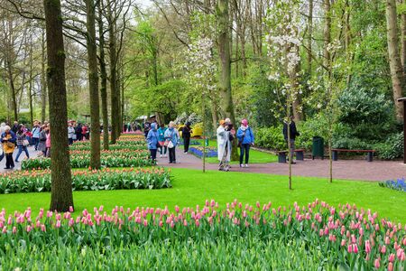 Keukenhof, Lisse, Netherlands - April 08, 2014: Keukenhof is the world's largest flower garden with 7 million flower bulbs on an area of 32 hectares.のeditorial素材