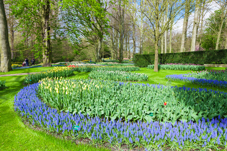 Keukenhof, Lisse, Netherlands - April 08, 2014: Keukenhof is the world's largest flower garden with 7 million flower bulbs on an area of 32 hectares.のeditorial素材