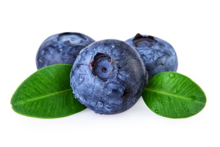 Blueberries Water Droplets Isolatedの写真素材