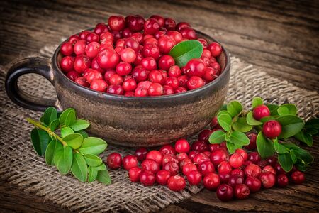 cranberries vignette vintage styleの写真素材
