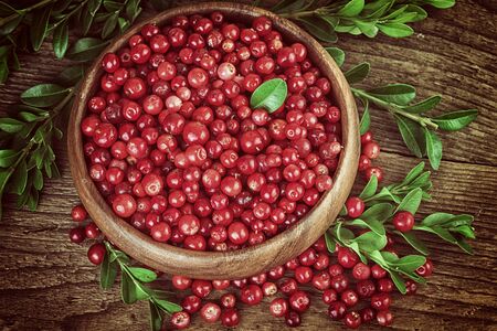 Cranberries Vintage Still Lifeの写真素材