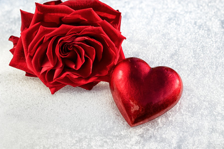 rose and red heart on ice wet snow, selective focusの写真素材
