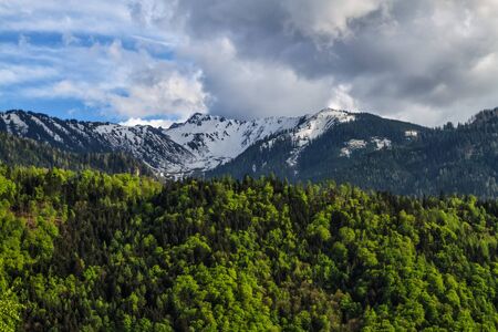 Spring landscape with green forest and snow covered mountainsの写真素材