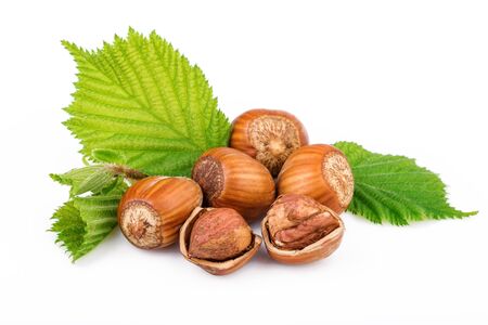 hazelnuts with leaves on white backgroundの写真素材