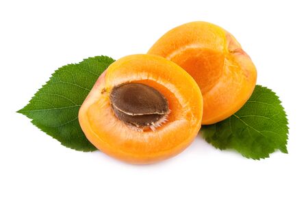 Fresh apricots with leaves closeup.の写真素材
