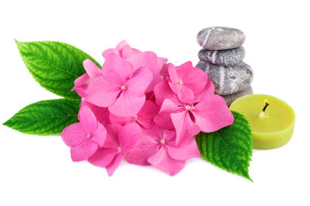 Spa stones zen with pink flowers and candle on white backgroundの写真素材