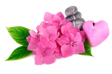 Spa stones zen with flowers and candle in a heart shapeの写真素材