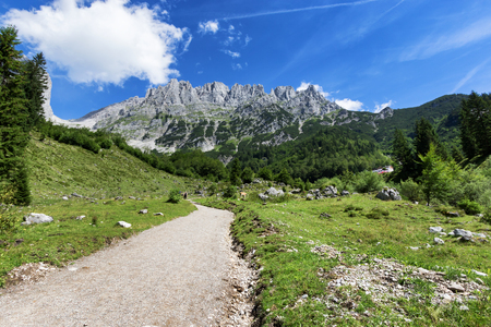 Path through summer mountain landscape. View of Wilder Kaiser, Austria, Tyrolの写真素材