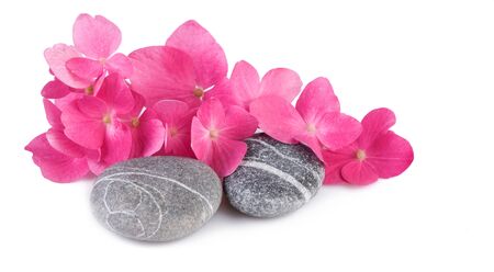 Spa stones with pink flowers on white backgroundの写真素材