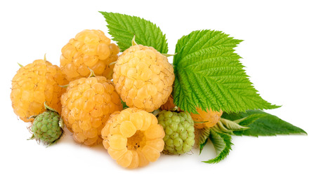 heap of yellow raspberries on whiteの写真素材