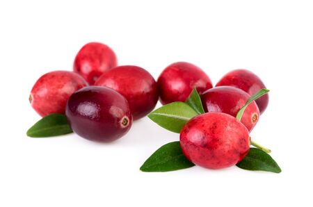 Cranberries isolated. Ripe cranberry with leaves isolated on white backgroundの写真素材
