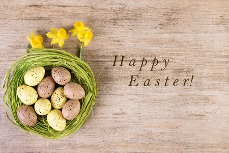Easter background Happy Easter. Retro decoration green Easter nest with daffodils on rustic light brown backgroundの写真素材